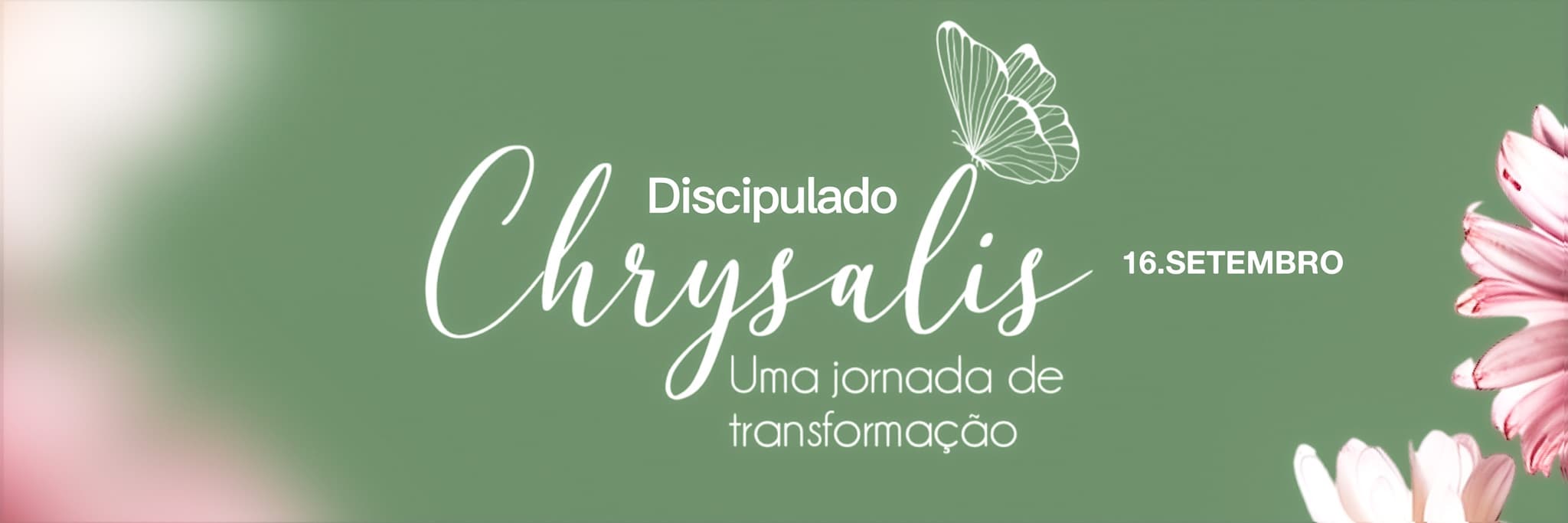 Discipulado Chrysalis
